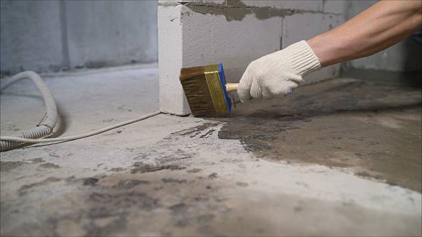 SJ Waterproofing Pros Waterproofing coverage map for Homer, IN and surrounding area